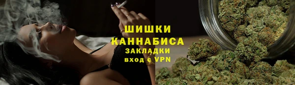 сатива Алексин