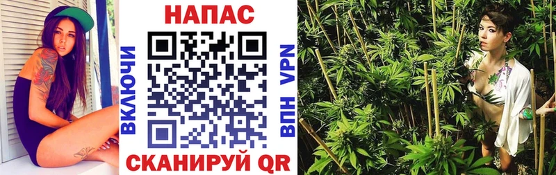 даркнет какой сайт Пролетарск Шишки марихуана гибрид где купить наркоту